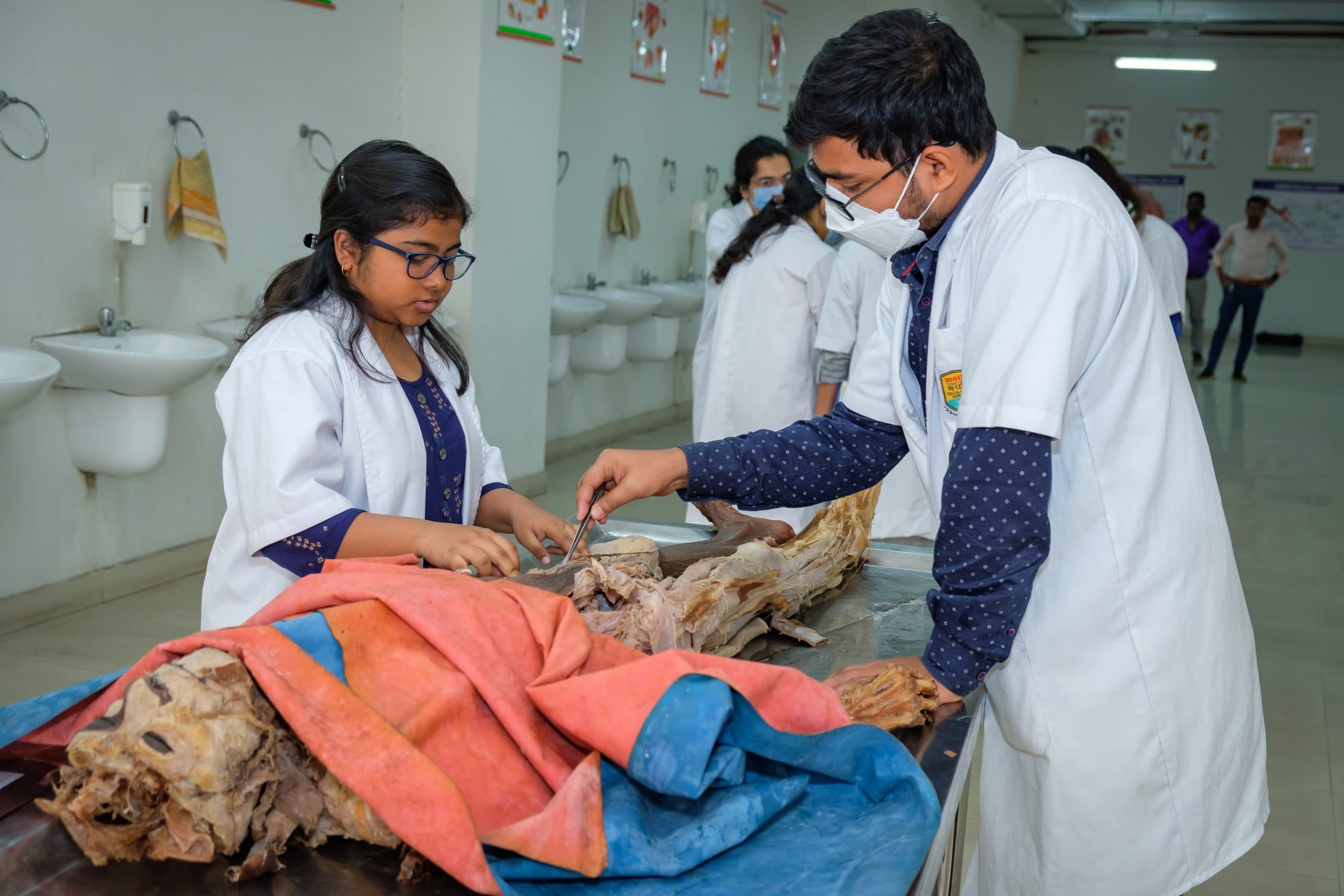 Dissection Hall 2