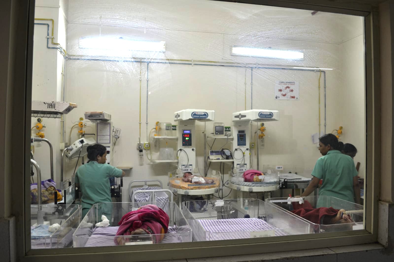 Classrooms & Dissection Hall